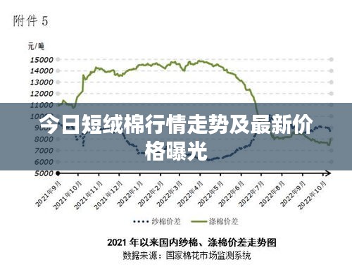 今日短绒棉行情走势及最新价格曝光