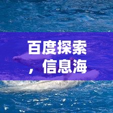 百度探索，信息海洋一键搜，答案尽在掌握中