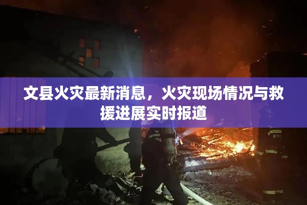 文县火灾最新消息，火灾现场情况与救援进展实时报道