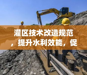 灌区技术改造规范，提升水利效能，促进农业现代化发展