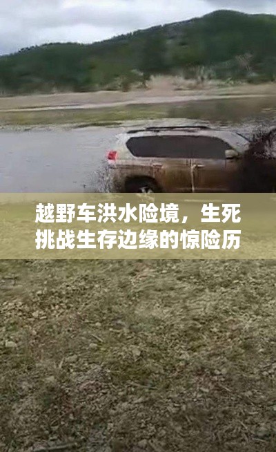 棒打出头鸟 第2页