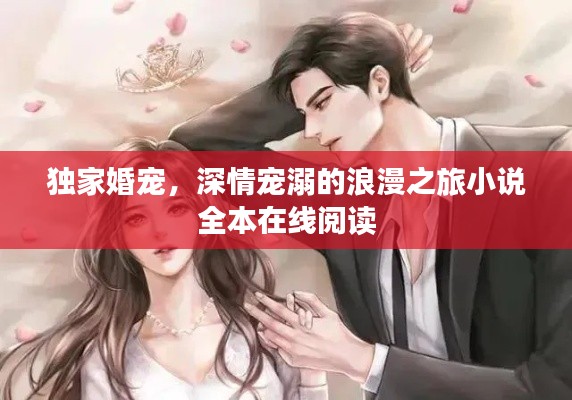 独家婚宠，深情宠溺的浪漫之旅小说全本在线阅读