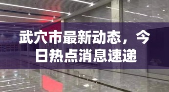 武穴市最新动态，今日热点消息速递