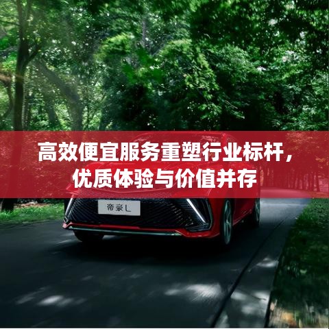 高效便宜服务重塑行业标杆，优质体验与价值并存