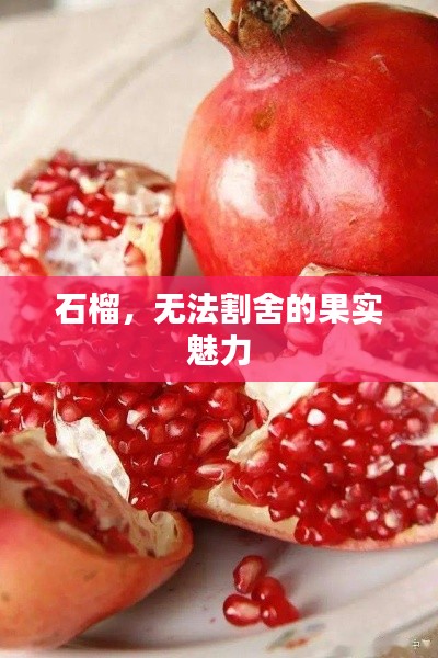 悬驼就石 第2页