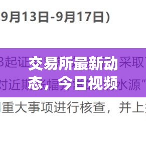 东张西望 第2页