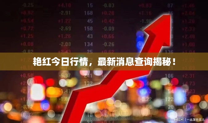 艳红今日行情，最新消息查询揭秘！