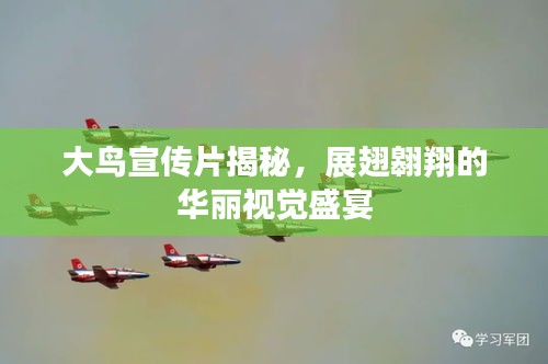 大鸟宣传片揭秘，展翅翱翔的华丽视觉盛宴