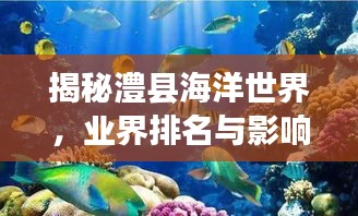 揭秘澧县海洋世界，业界排名与影响力不容小觑