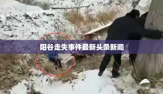 阳谷走失事件最新头条新闻
