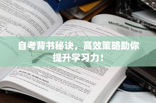 自考背书秘诀，高效策略助你提升学习力！
