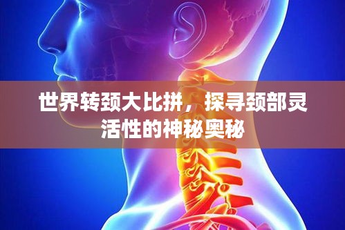世界转颈大比拼，探寻颈部灵活性的神秘奥秘