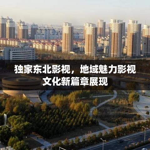 独家东北影视，地域魅力影视文化新篇章展现