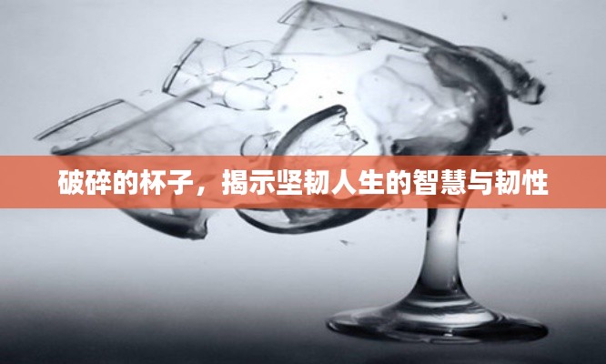 破碎的杯子，揭示坚韧人生的智慧与韧性