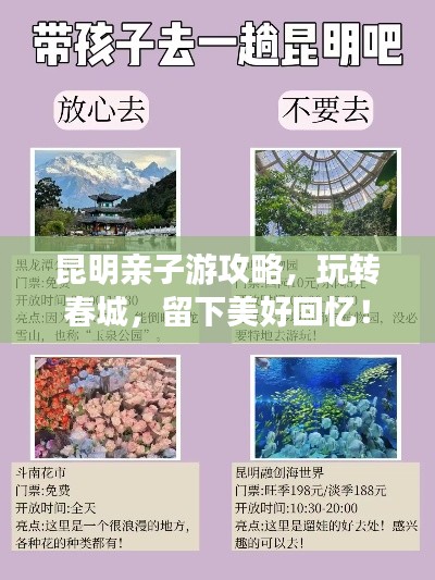 昆明亲子游攻略，玩转春城，留下美好回忆！