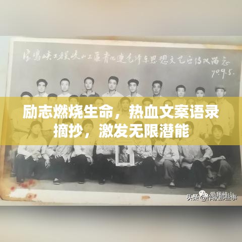励志燃烧生命，热血文案语录摘抄，激发无限潜能