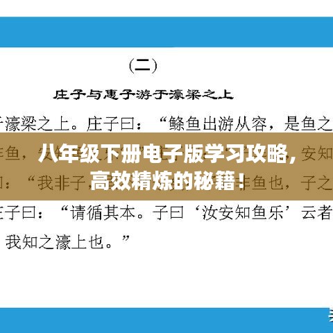 八年级下册电子版学习攻略，高效精炼的秘籍！