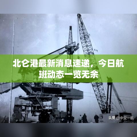 北仑港最新消息速递，今日航班动态一览无余