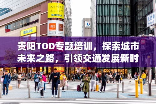 贵阳TOD专题培训，探索城市未来之路，引领交通发展新时代