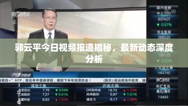 郭云平今日视频报道揭秘，最新动态深度分析