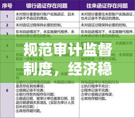 规范审计监督制度，经济稳健发展的护航之道