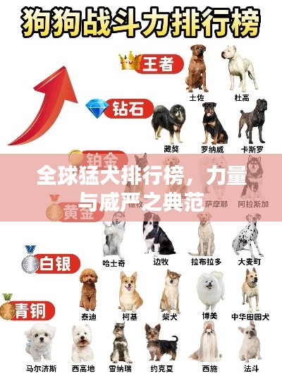 全球猛犬排行榜，力量与威严之典范