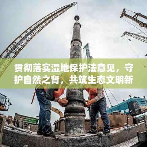 贯彻落实湿地保护法意见，守护自然之肾，共筑生态文明新篇章