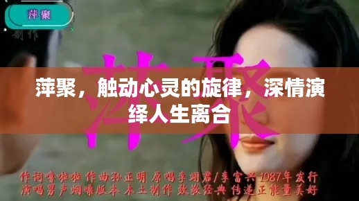 萍聚，触动心灵的旋律，深情演绎人生离合