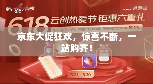 京东大促狂欢，惊喜不断，一站购齐！