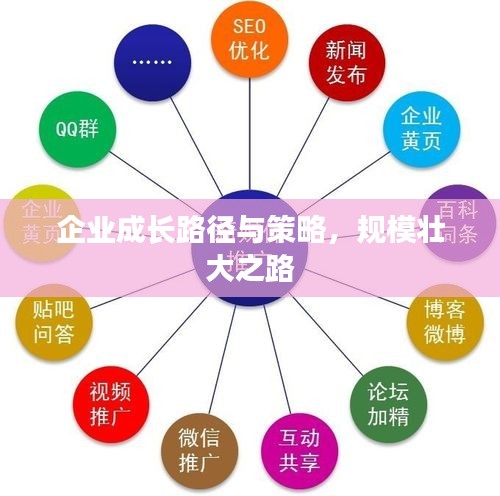 企业成长路径与策略，规模壮大之路