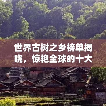 世界古树之乡榜单揭晓，惊艳全球的十大古树之地！