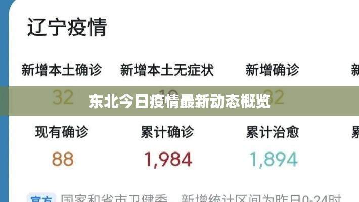 东北今日疫情最新动态概览