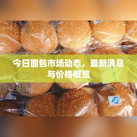 今日面包市场动态，最新消息与价格概览