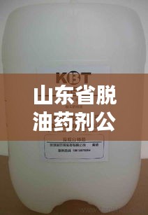 山东省脱油药剂公司排名及影响力概览