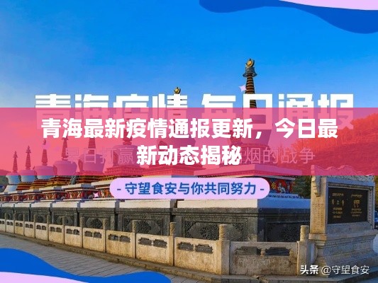 青海最新疫情通报更新，今日最新动态揭秘
