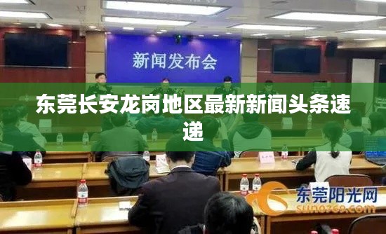 东莞长安龙岗地区最新新闻头条速递