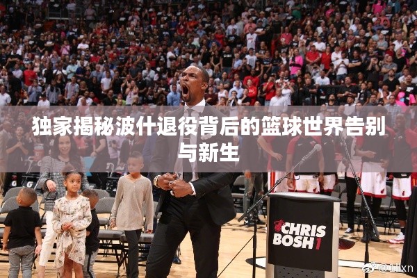 独家揭秘波什退役背后的篮球世界告别与新生