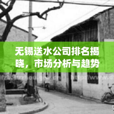 无锡送水公司排名揭晓，市场分析与趋势展望