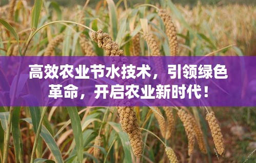 高效农业节水技术，引领绿色革命，开启农业新时代！