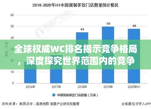 全球权威WC排名揭示竞争格局，深度探究世界范围内的竞争态势