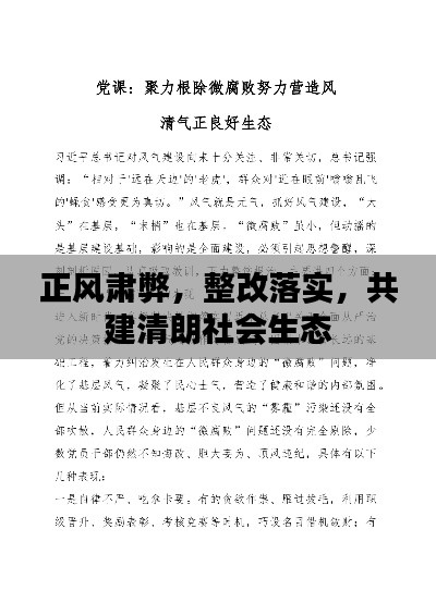正风肃弊，整改落实，共建清朗社会生态