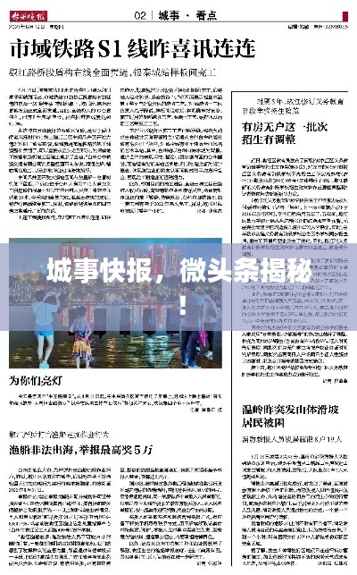 城事快报，微头条揭秘！