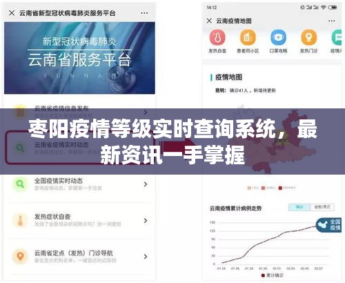 枣阳疫情等级实时查询系统，最新资讯一手掌握