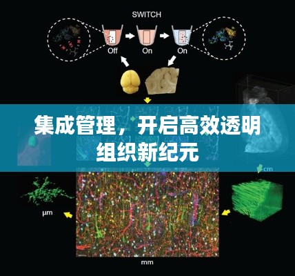 集成管理，开启高效透明组织新纪元