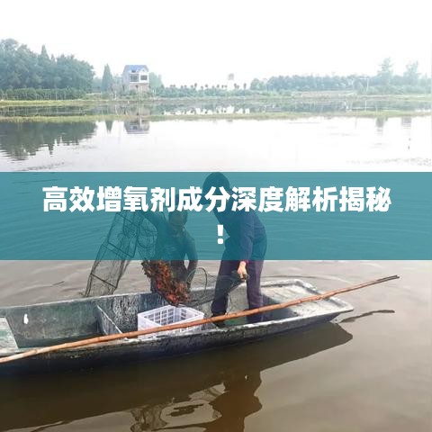 高效增氧剂成分深度解析揭秘！