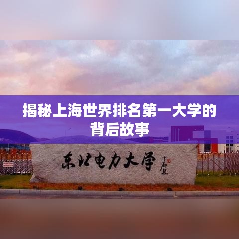 揭秘上海世界排名第一大学的背后故事