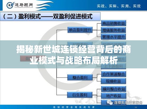 揭秘新世城连锁经营背后的商业模式与战略布局解析