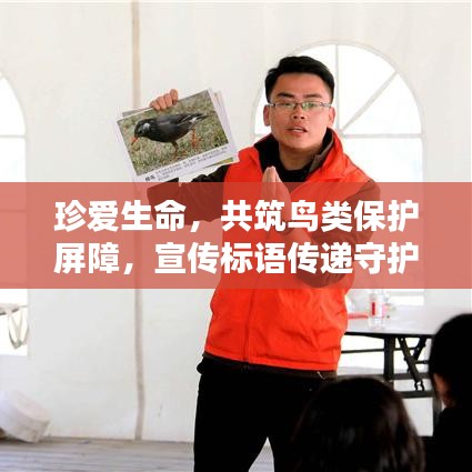 珍爱生命，共筑鸟类保护屏障，宣传标语传递守护自然之声