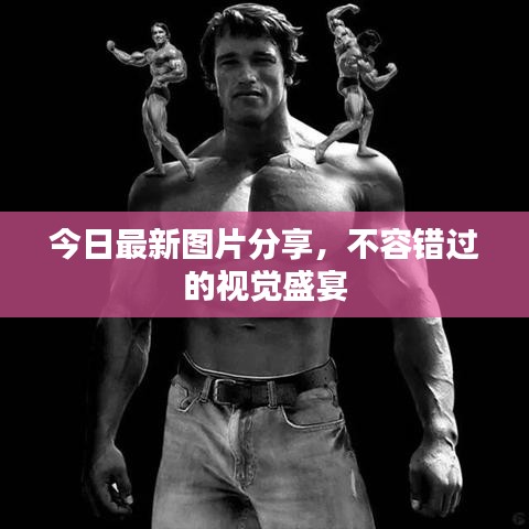 今日最新图片分享，不容错过的视觉盛宴