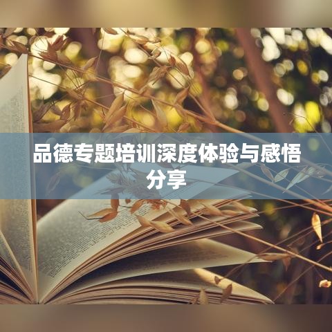 品德专题培训深度体验与感悟分享